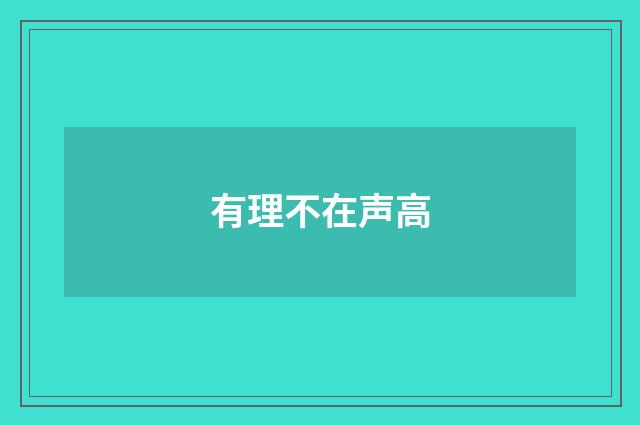 有理不在声高