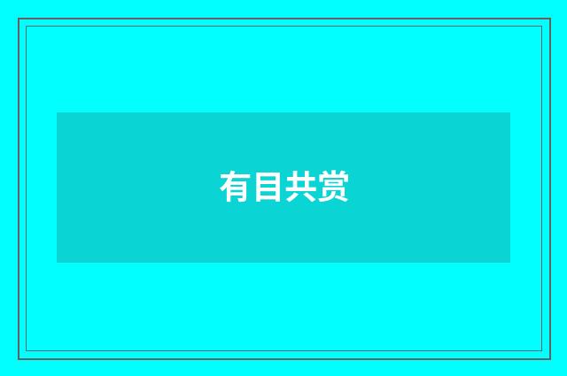 有目共赏