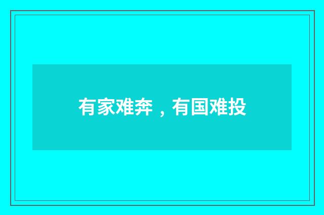 有家难奔﹐有国难投