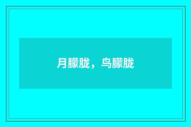 月朦胧，鸟朦胧