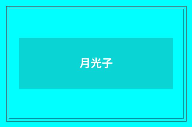 月光子