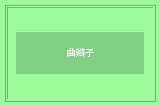 曲辫子