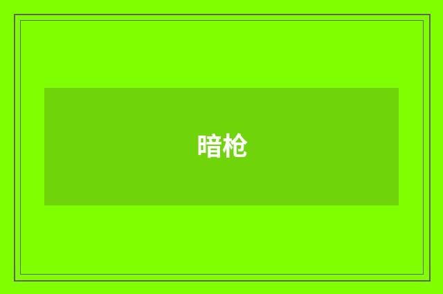 暗枪