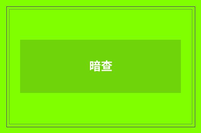 暗查