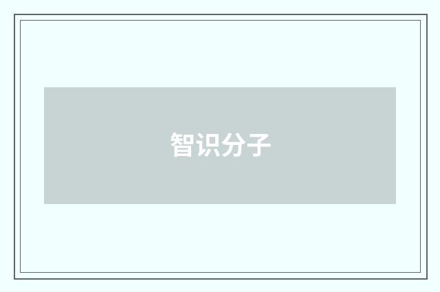 智识分子