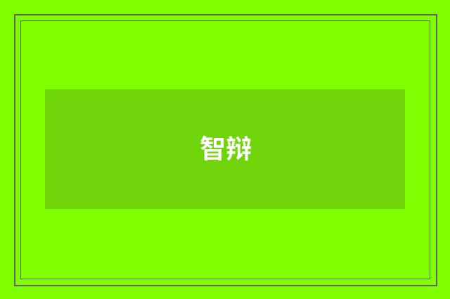 智辩