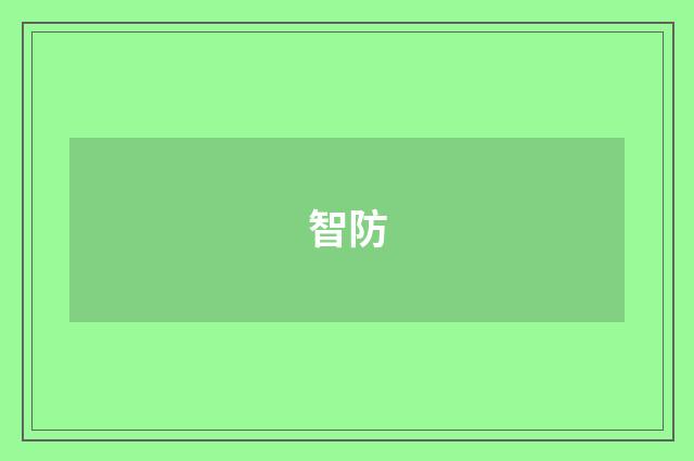 智防