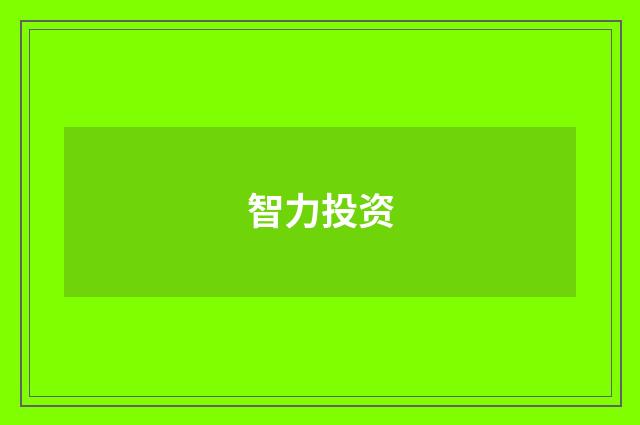 智力投资