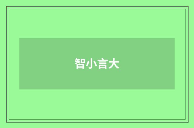 智小言大