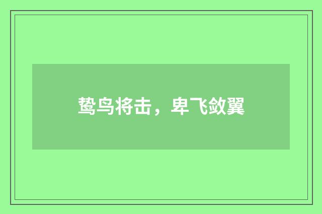 鸷鸟将击，卑飞敛翼