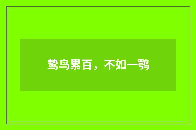 鸷鸟累百，不如一鹗