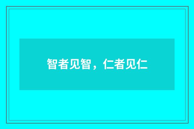 智者见智，仁者见仁