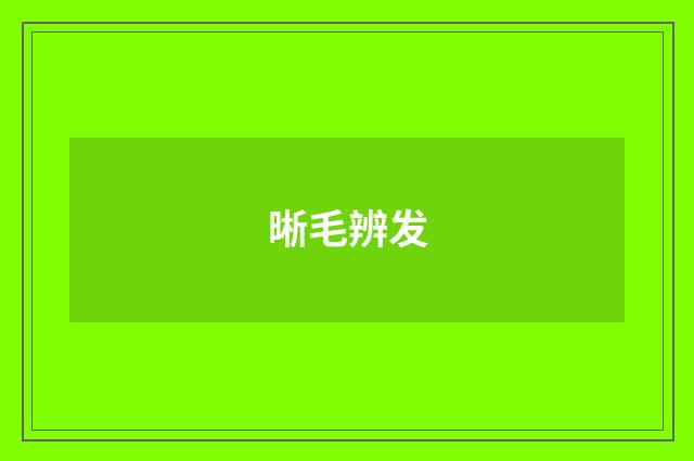 晰毛辨发