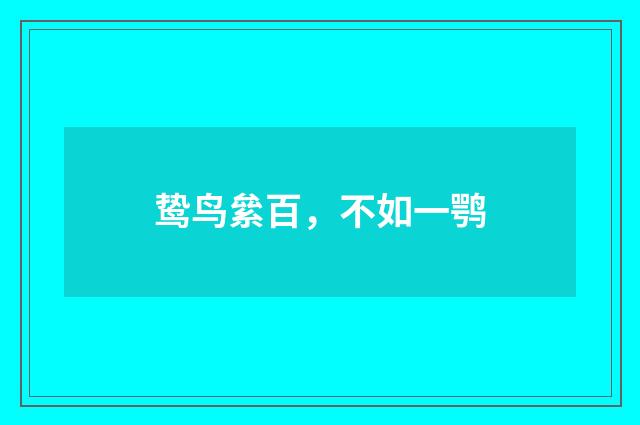 鸷鸟絫百，不如一鹗