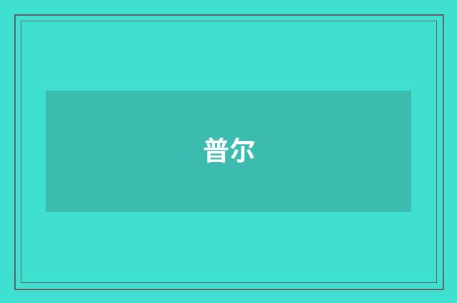 普尔