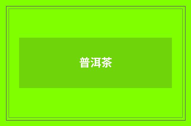 普洱茶