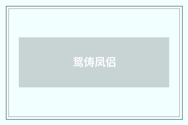 鸳俦凤侣