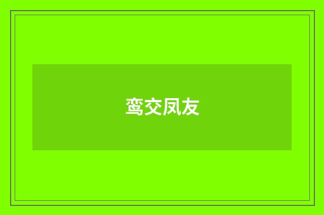 鸾交凤友