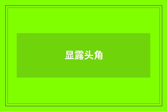 显露头角