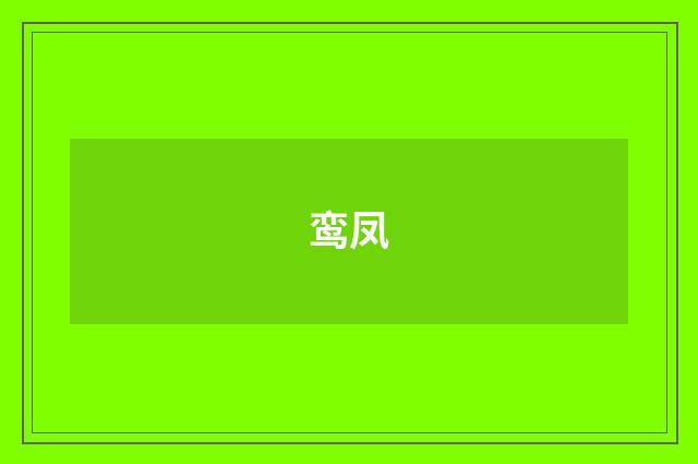 鸾凤