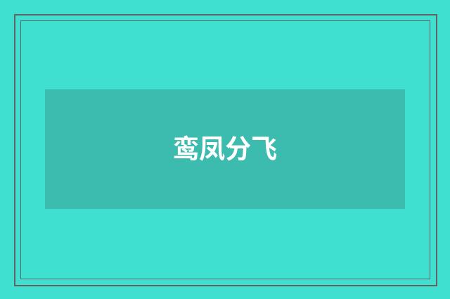 鸾凤分飞