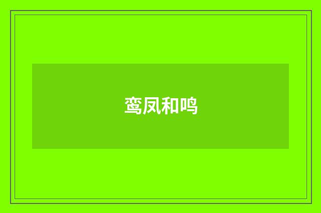 鸾凤和鸣