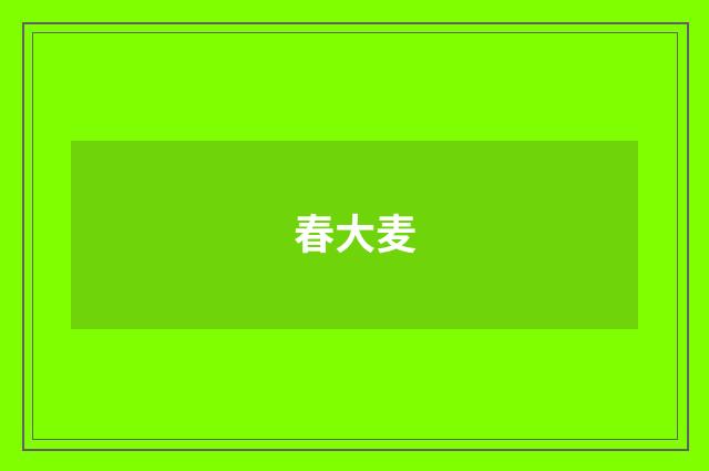 春大麦
