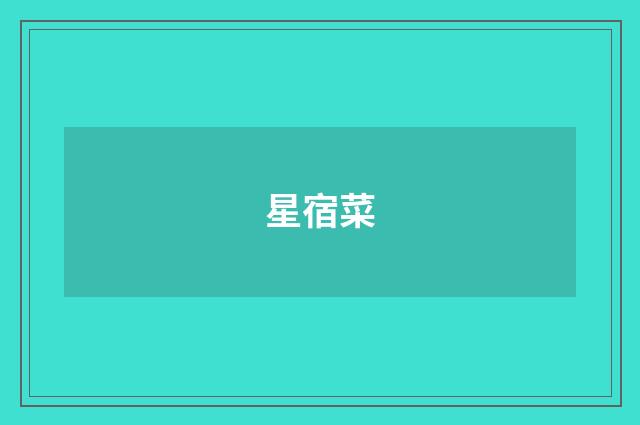 星宿菜