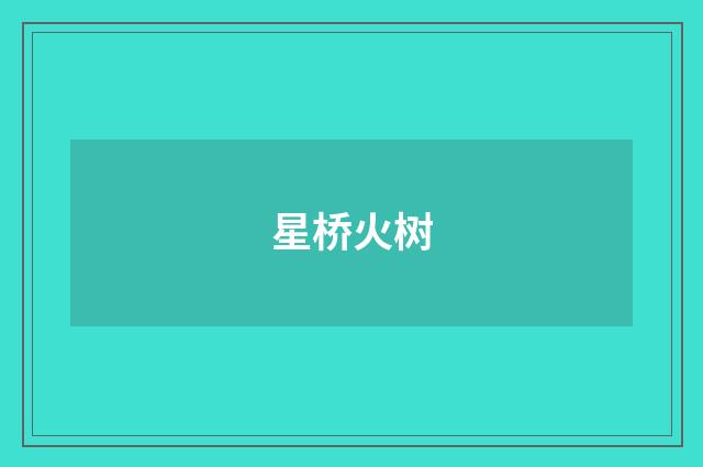 星桥火树