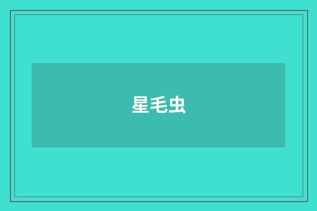 星毛虫