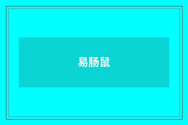 易肠鼠