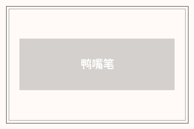 鸭嘴笔
