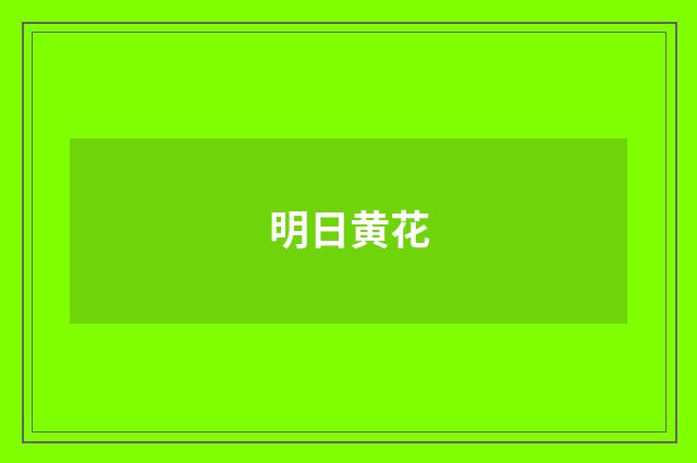 明日黄花