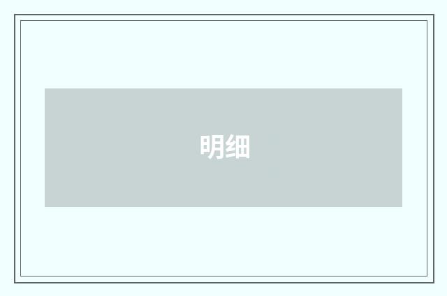 明细