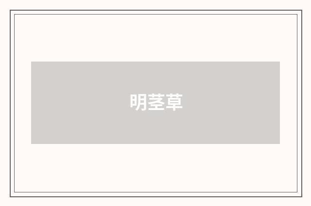 明茎草