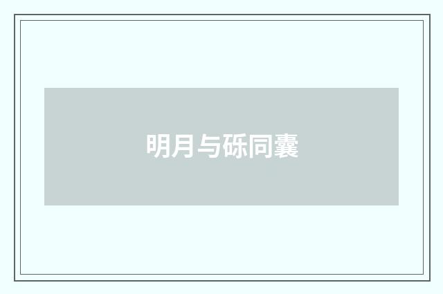 明月与砾同囊