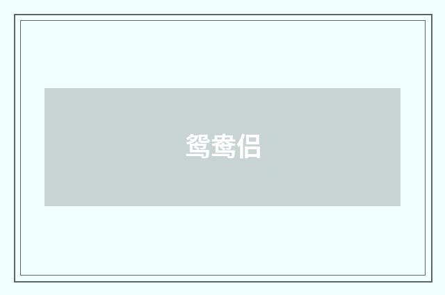 鸳鸯侣