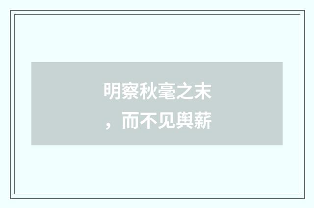 明察秋毫之末，而不见舆薪