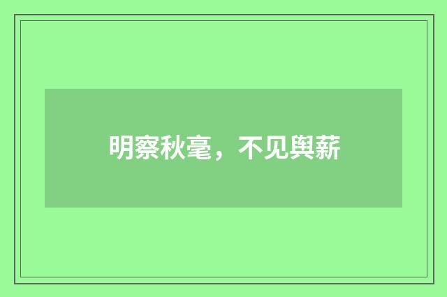 明察秋毫，不见舆薪