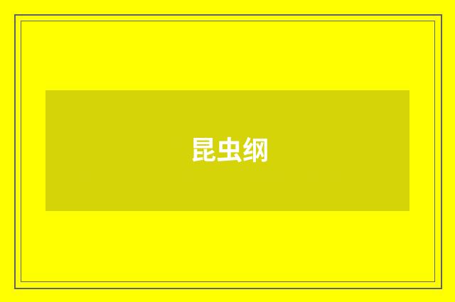 昆虫纲