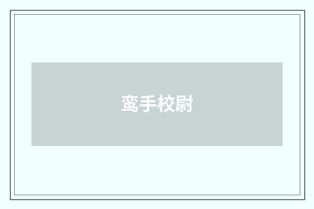 鸾手校尉