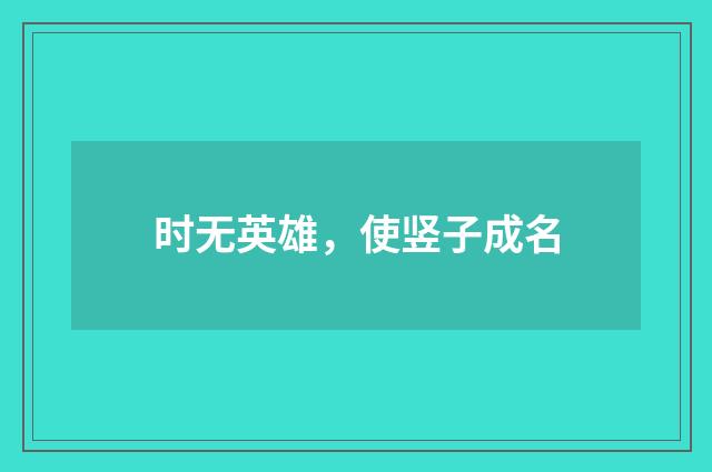 时无英雄，使竖子成名