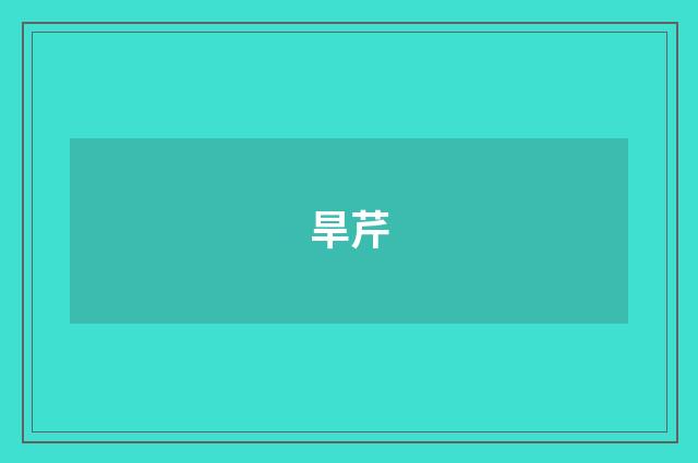 旱芹