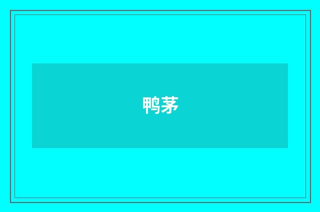 鸭茅