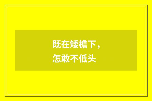 既在矮檐下，怎敢不低头