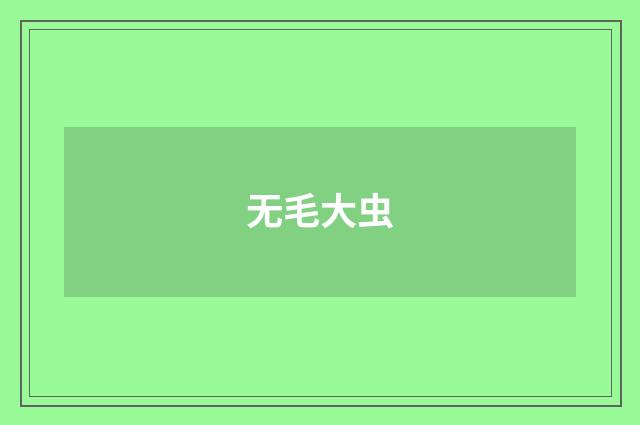 无毛大虫