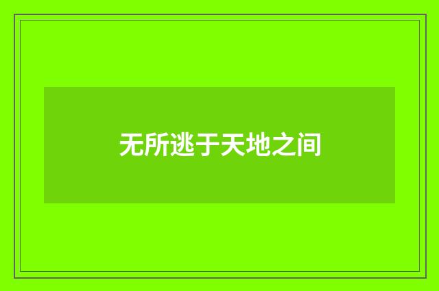 无所逃于天地之间