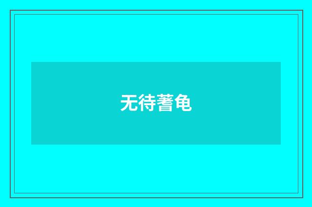 无待蓍龟