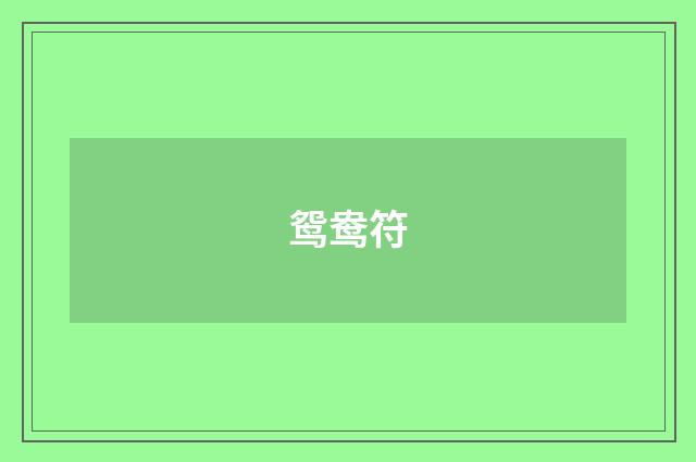 鸳鸯符