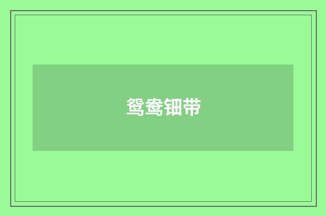 鸳鸯钿带